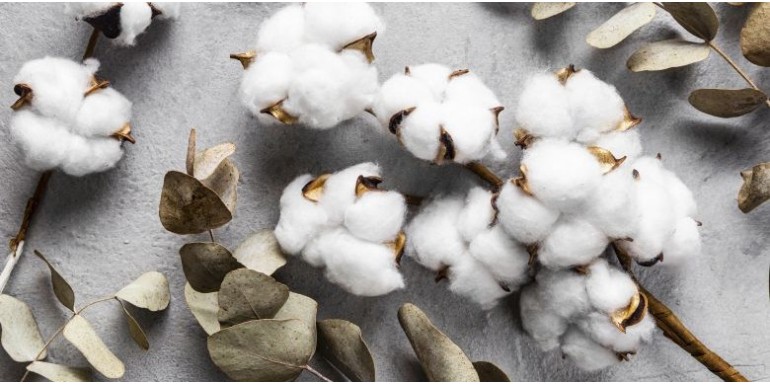 Bawełna na szlafrok: turecka, egipska, pima, organiczna - różnice w praktyce