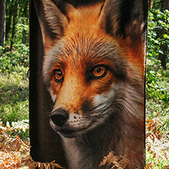 DLA MIŁOŚNIKÓW NATURY